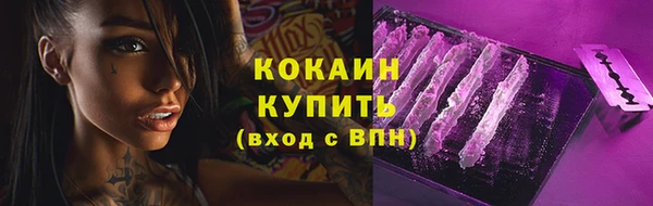 крисы Гусь-Хрустальный