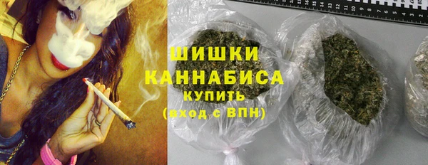 соль ск Гусиноозёрск