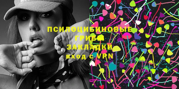 крисы Гусь-Хрустальный