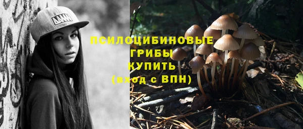 соль ск Гусиноозёрск