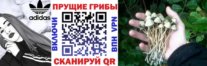 Псилоцибиновые грибы Magic Shrooms  Назарово 