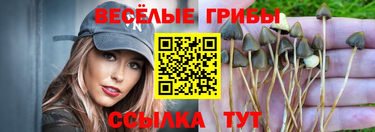 Назарово  закладка  Вход с VPN  Псилоцибиновые грибы ЛСД 