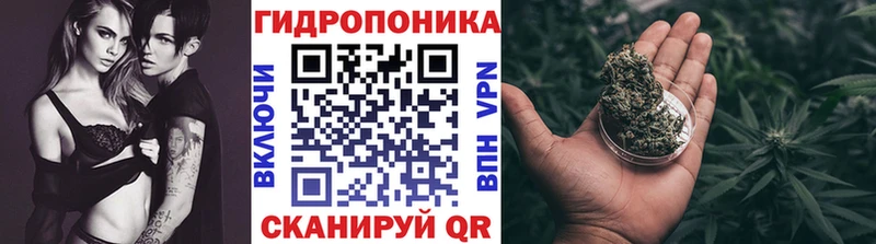 Бошки Шишки планчик Назарово